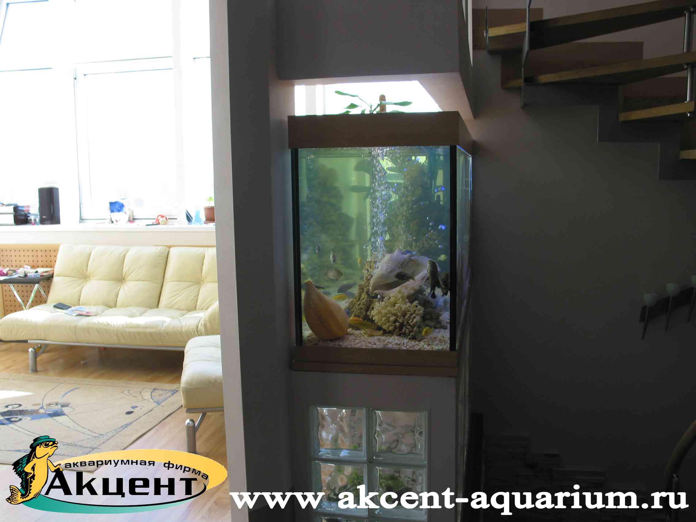 Акцент-аквариум, аквариум просмотровый 800 литров